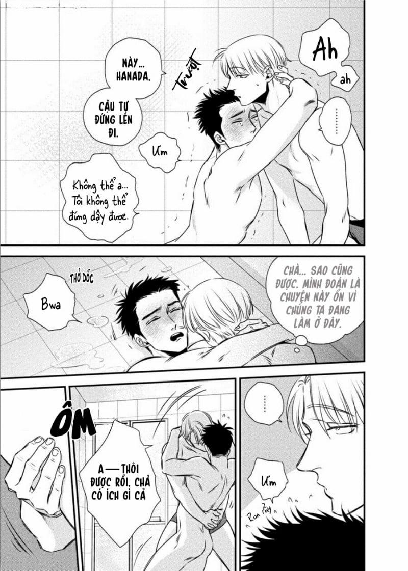 Mối Quan Hệ Giữa Bướm Và Hoa 3 trang 12