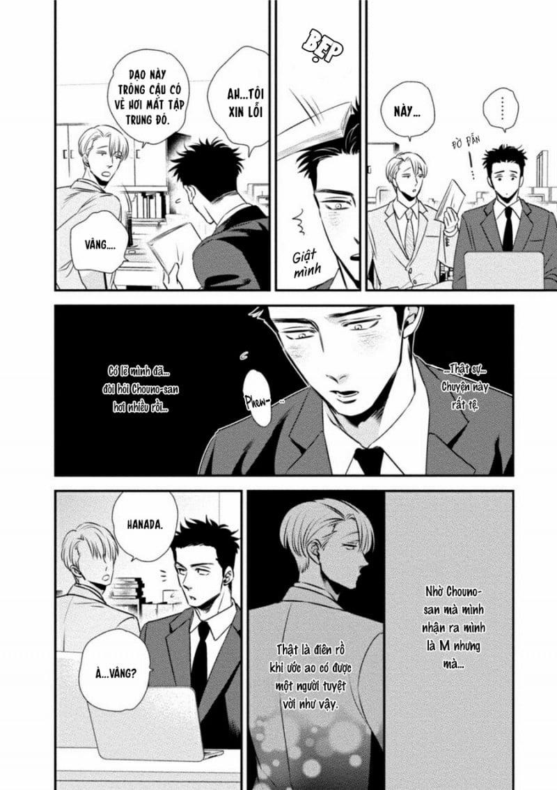 Mối Quan Hệ Giữa Bướm Và Hoa 3 trang 17