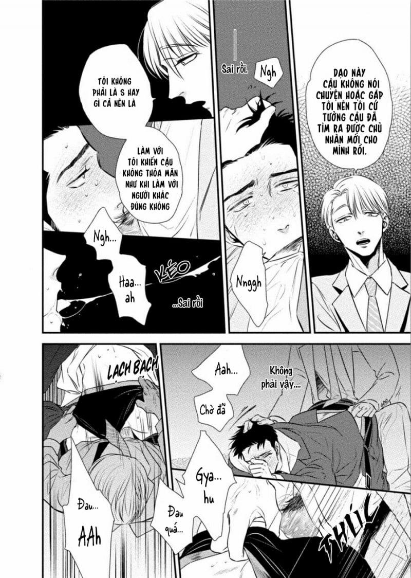 Mối Quan Hệ Giữa Bướm Và Hoa 3 trang 23