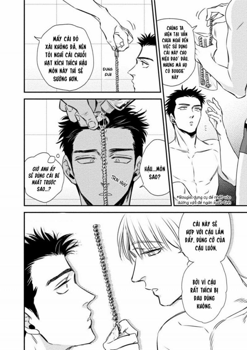 Mối Quan Hệ Giữa Bướm Và Hoa 3 trang 7