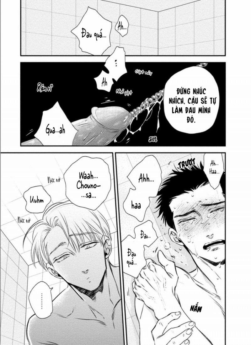 Mối Quan Hệ Giữa Bướm Và Hoa 3 trang 8