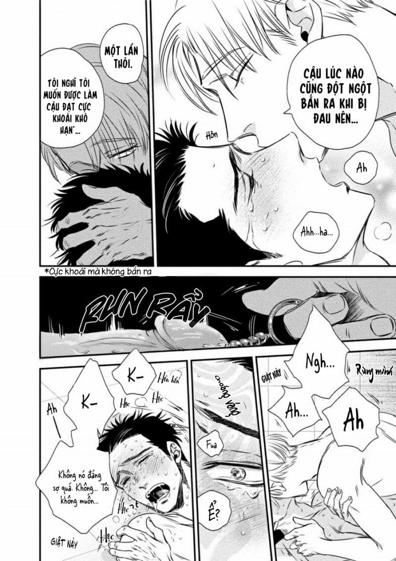 Mối Quan Hệ Giữa Bướm Và Hoa 3 trang 9