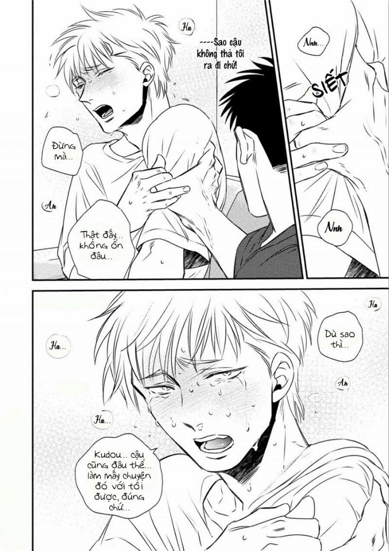 Mối Quan Hệ Giữa Bướm Và Hoa 4 trang 16