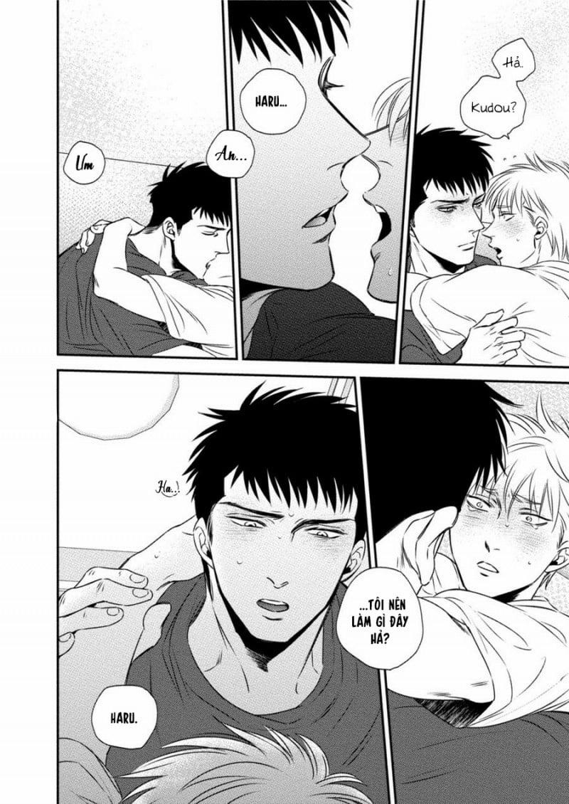 Mối Quan Hệ Giữa Bướm Và Hoa 4 trang 19