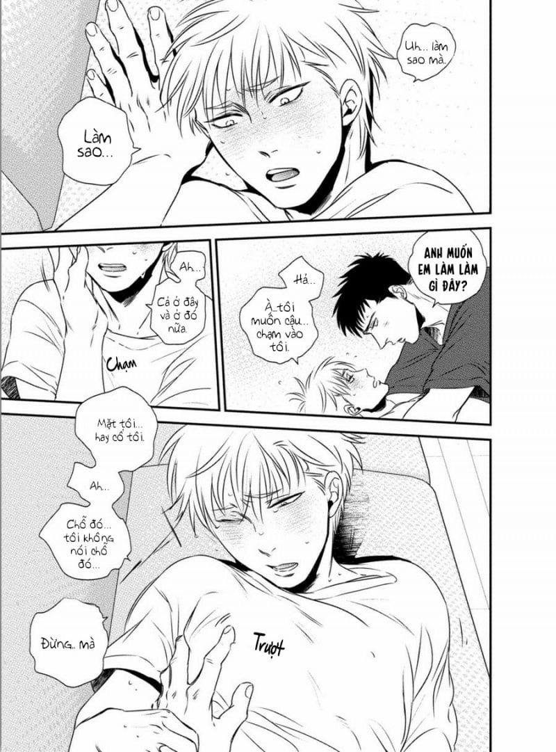 Mối Quan Hệ Giữa Bướm Và Hoa 4 trang 20