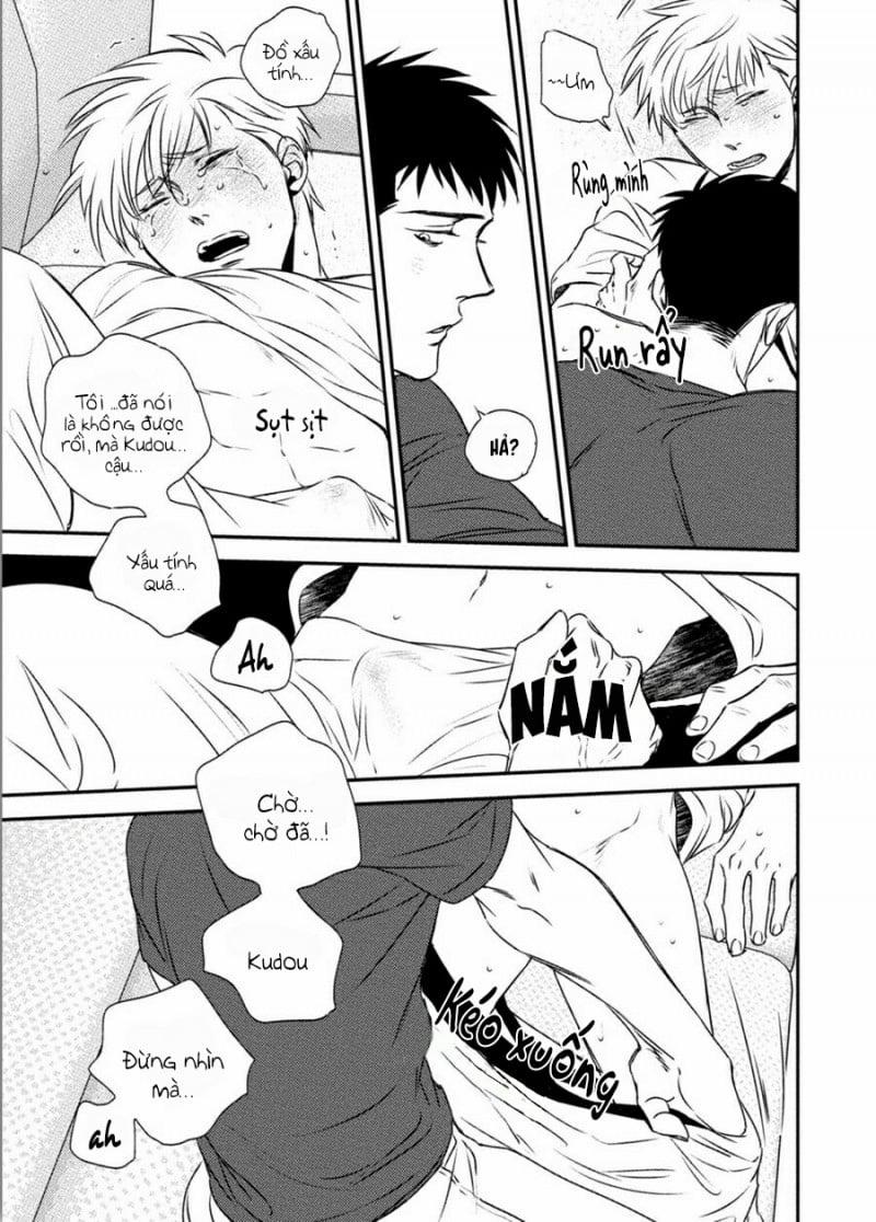 Mối Quan Hệ Giữa Bướm Và Hoa 4 trang 22