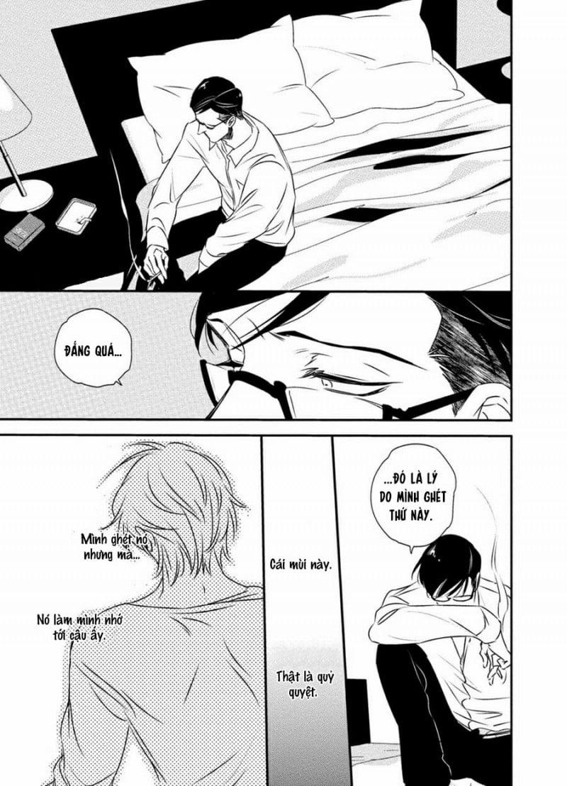 Mối Quan Hệ Giữa Bướm Và Hoa 5 trang 12