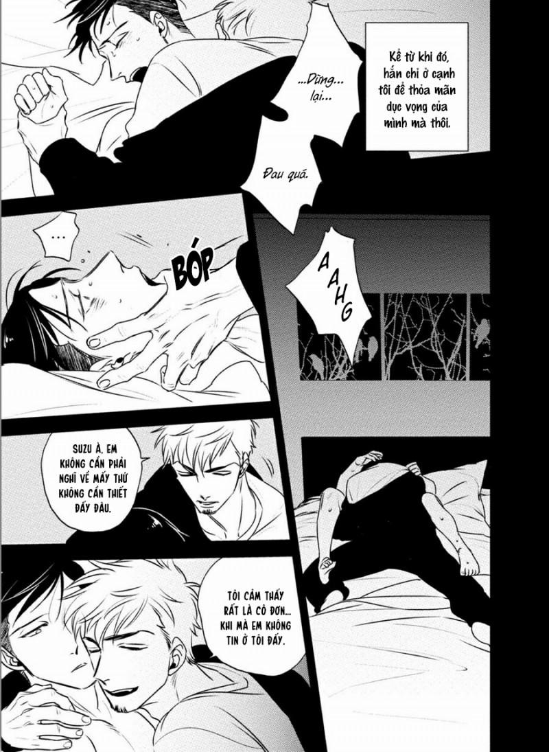 Mối Quan Hệ Giữa Bướm Và Hoa 6 trang 12