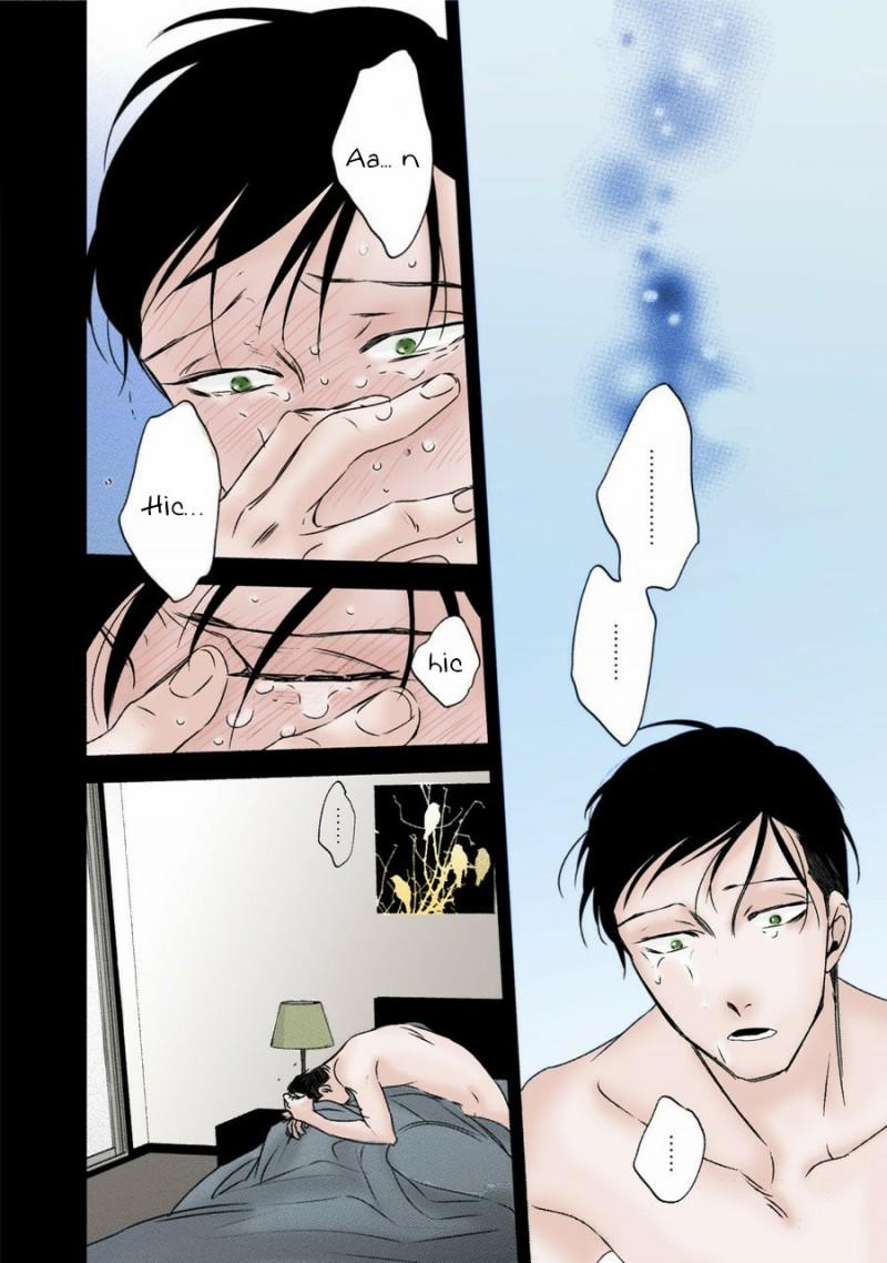 Mối Quan Hệ Giữa Bướm Và Hoa 6 trang 17