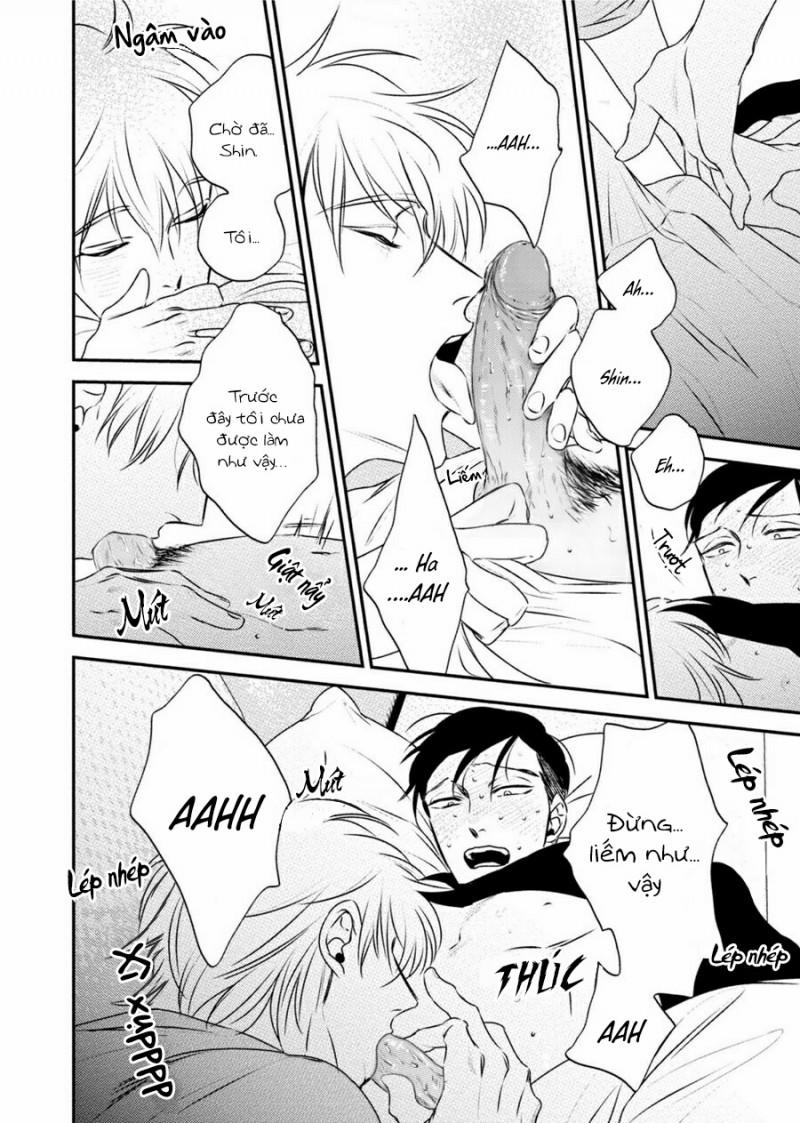 Mối Quan Hệ Giữa Bướm Và Hoa 6 trang 27