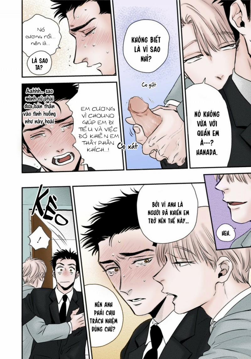 Mối Quan Hệ Giữa Bướm Và Hoa 6 trang 46