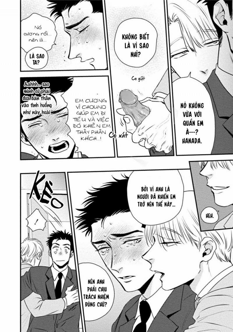 Mối Quan Hệ Giữa Bướm Và Hoa 6 trang 47