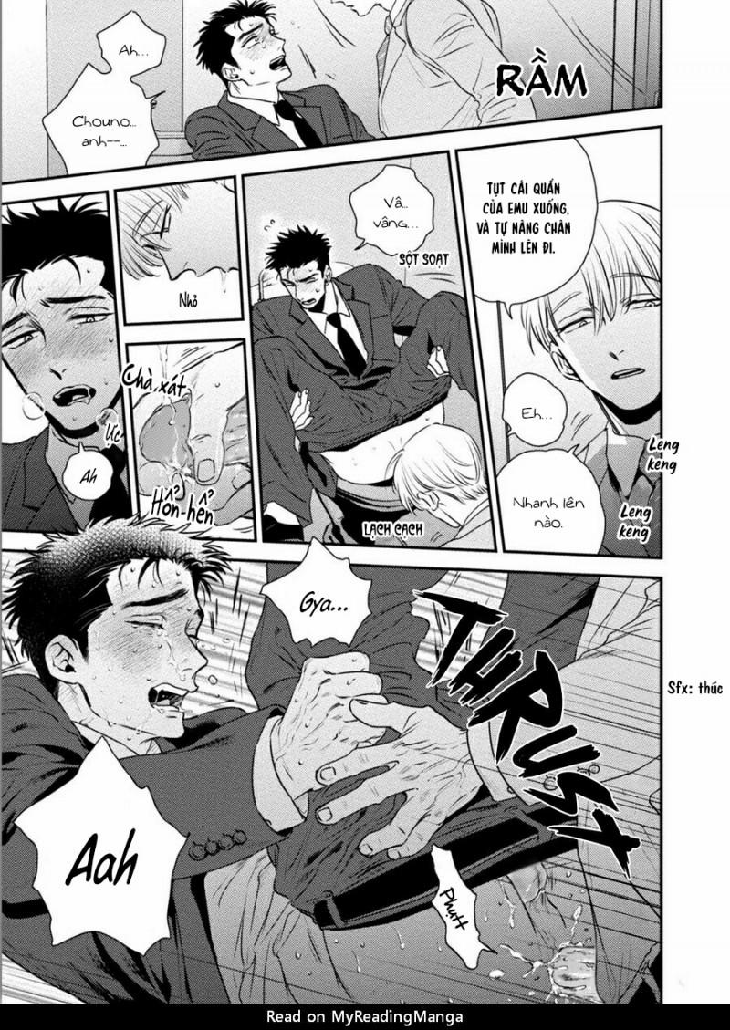 Mối Quan Hệ Giữa Bướm Và Hoa 6 trang 48