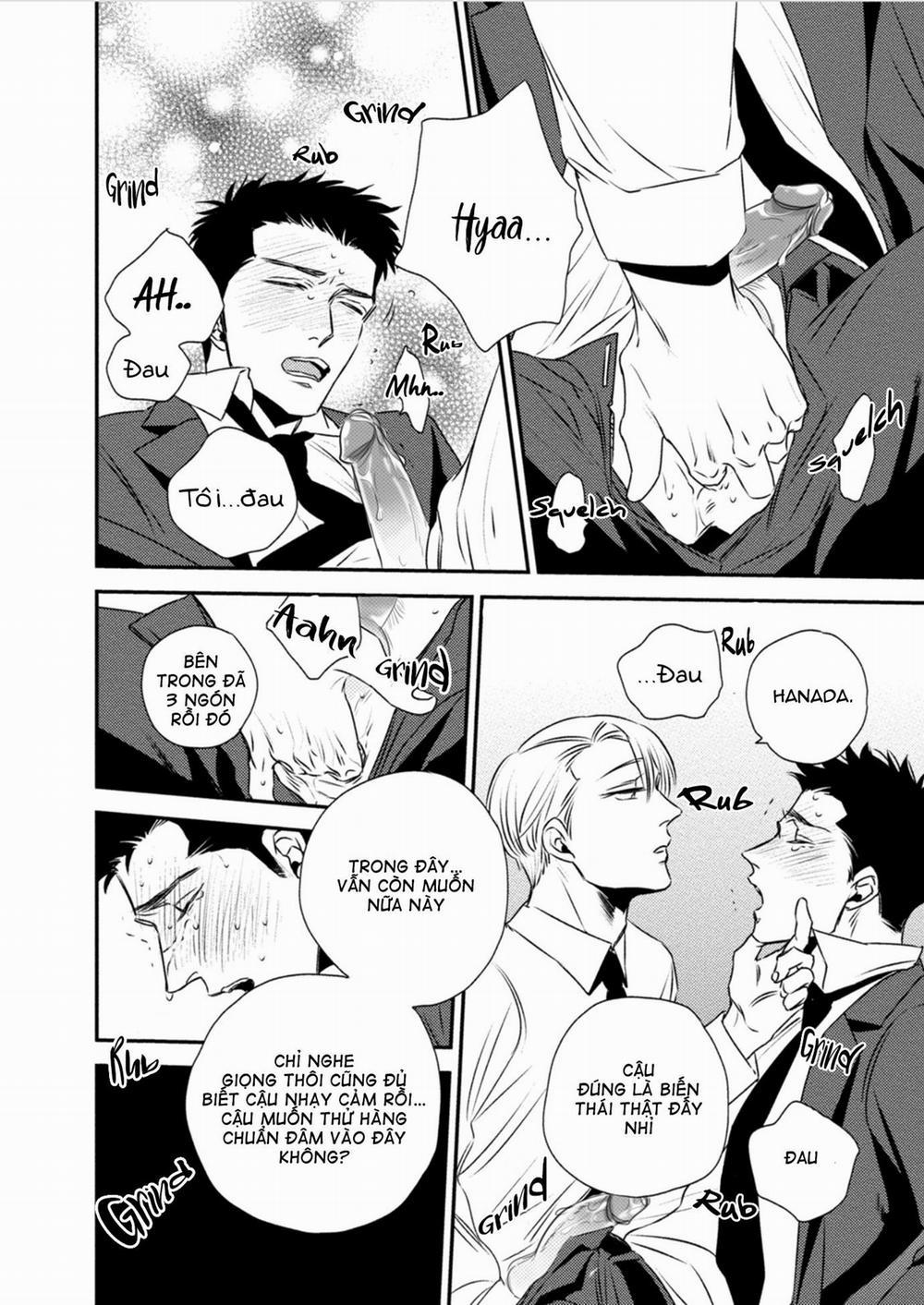 Mối Quan Hệ Giữa Bướm Và Hoaa 1.5 H+ trang 9