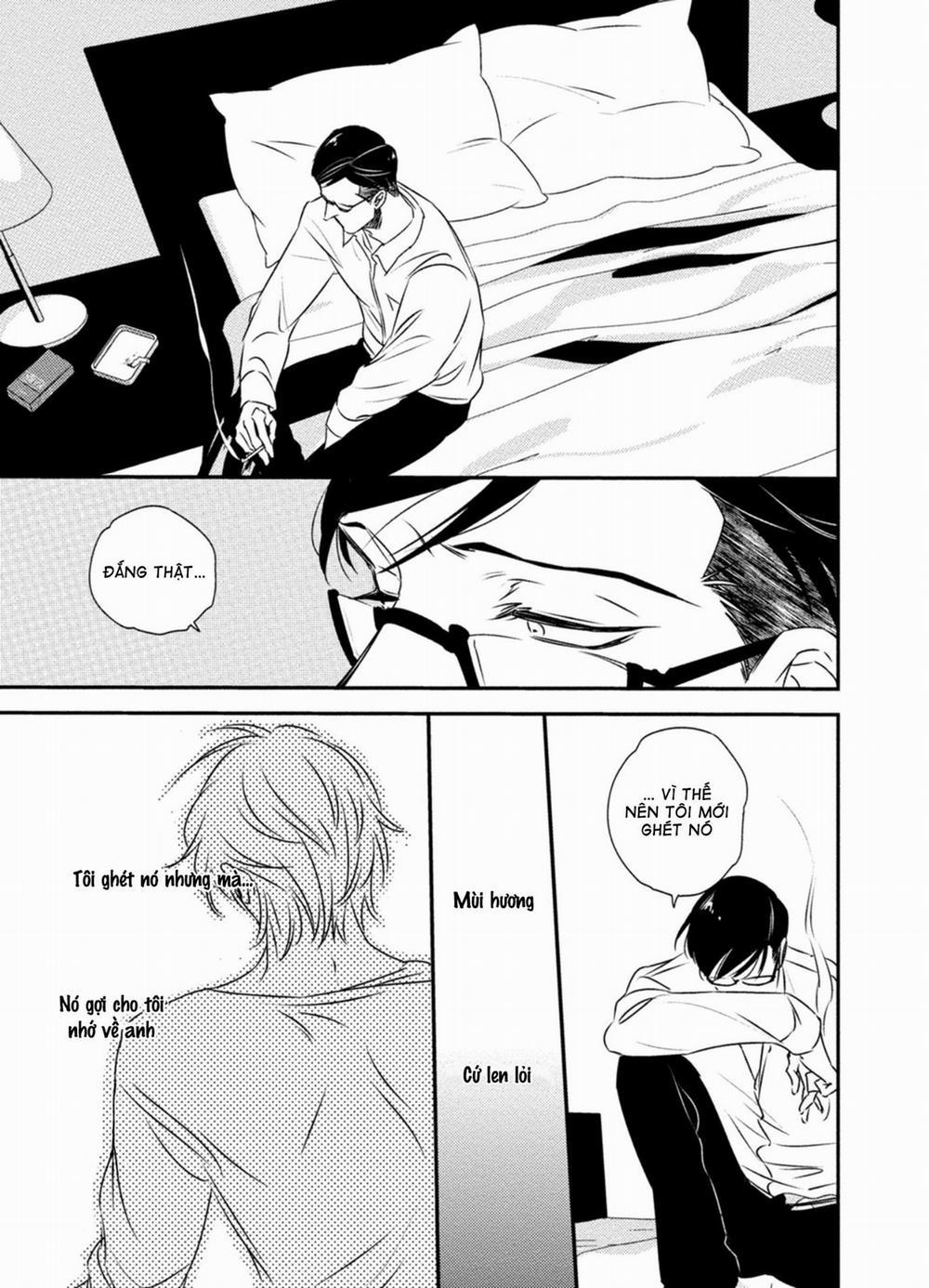 Mối Quan Hệ Giữa Bướm Và Hoaa 4 H+ trang 11