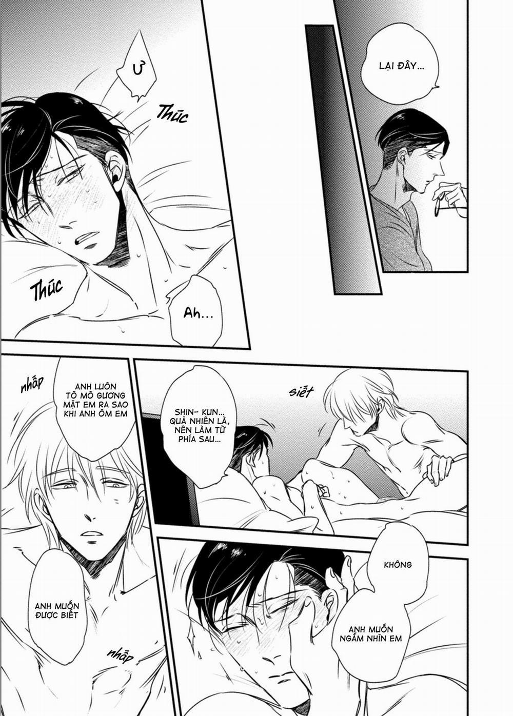 Mối Quan Hệ Giữa Bướm Và Hoaa 4 H+ trang 21