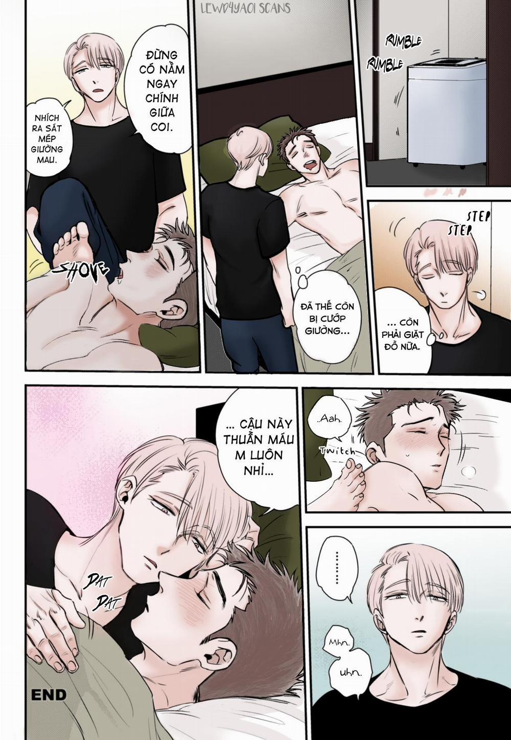 Mối Quan Hệ Giữa Bướm Và Hoaa 6.5 trang 1