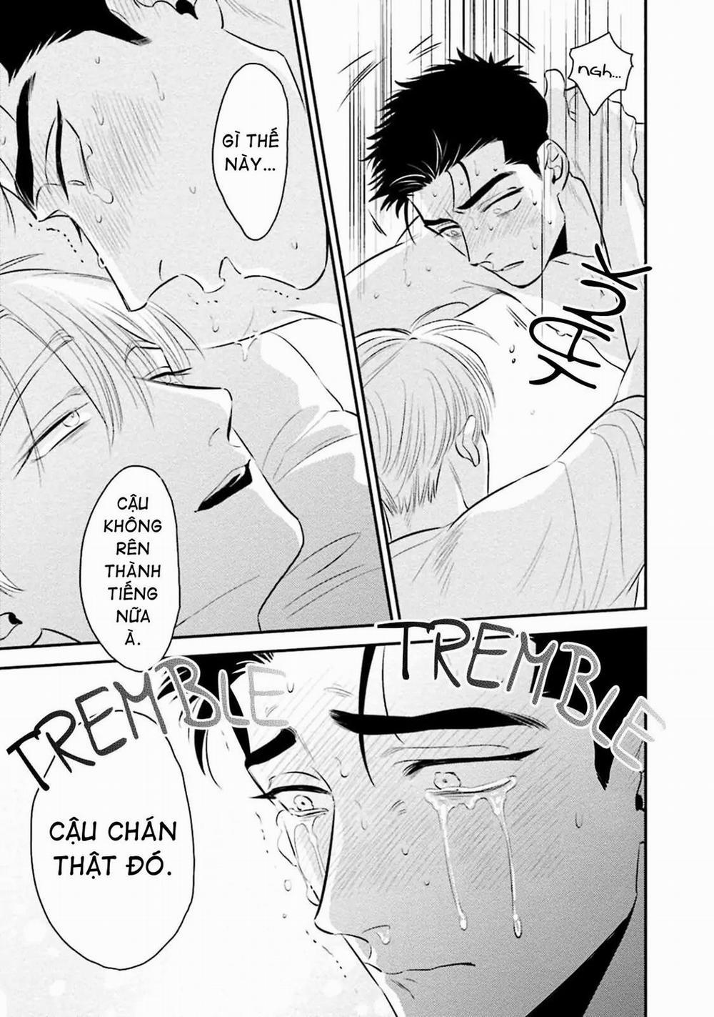 Mối Quan Hệ Giữa Bướm Và Hoaa 7 trang 28