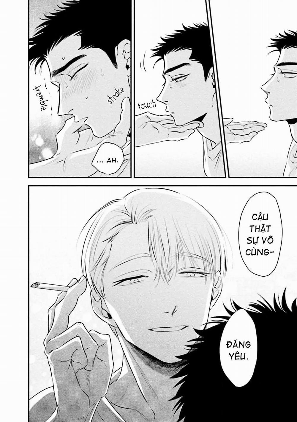 Mối Quan Hệ Giữa Bướm Và Hoaa 7 trang 33