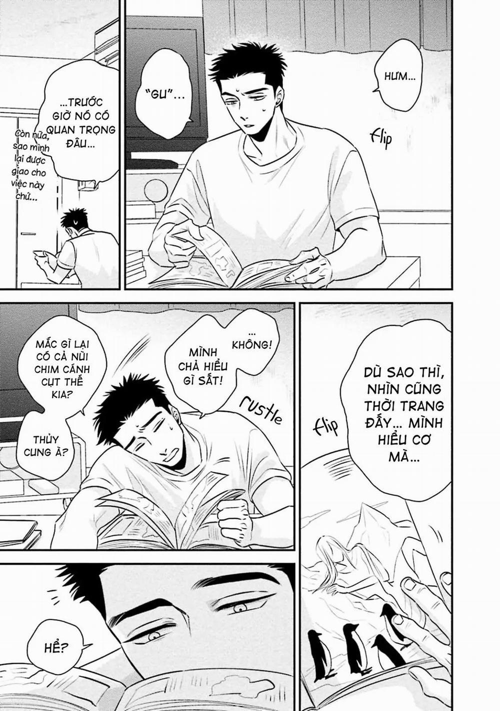 Mối Quan Hệ Giữa Bướm Và Hoaa 7 trang 4