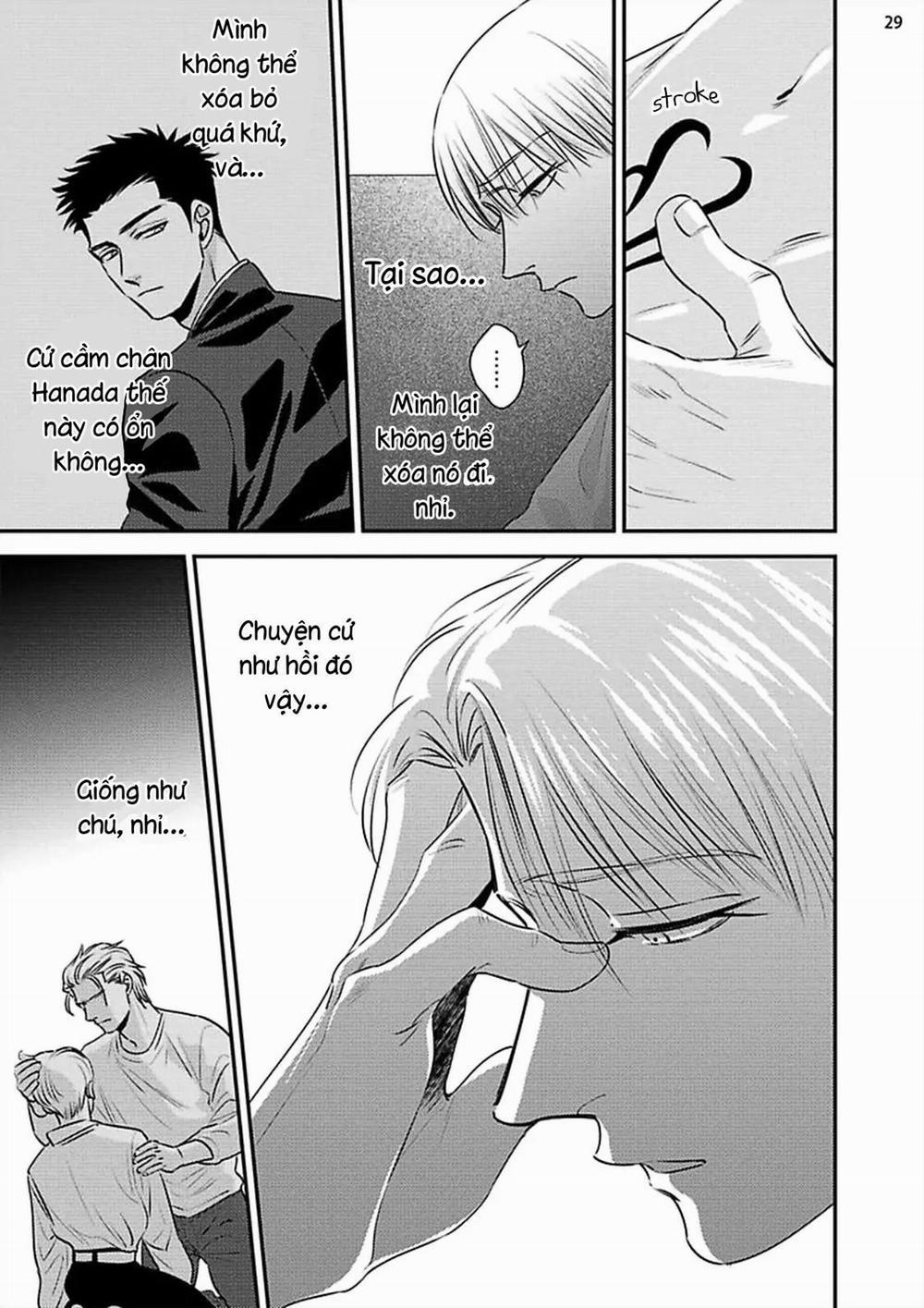 Mối Quan Hệ Giữa Bướm Và Hoaa 8 trang 30