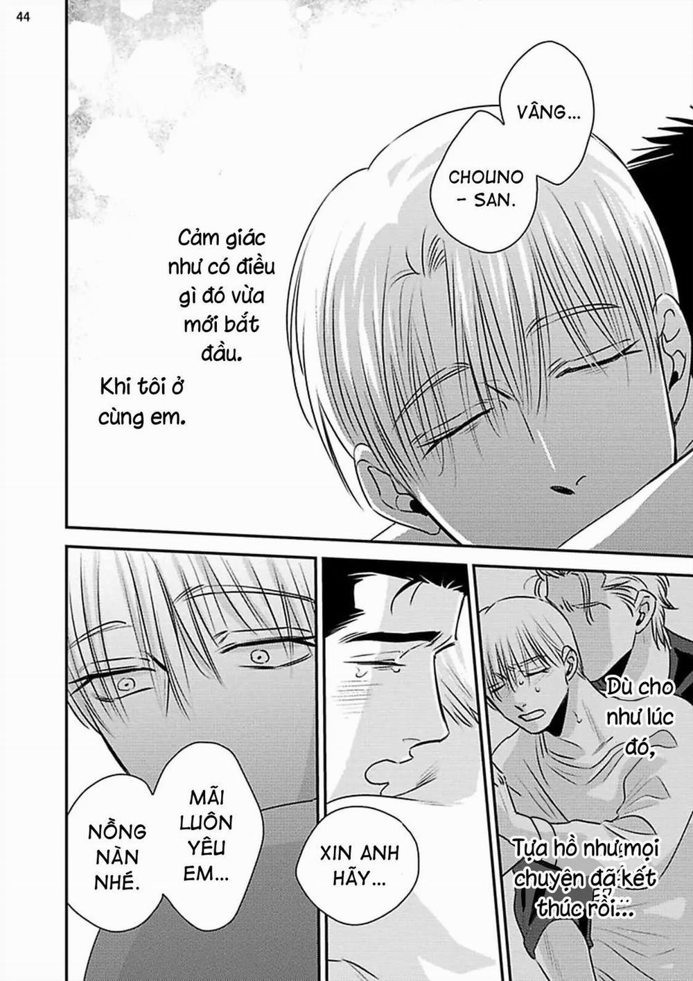 Mối Quan Hệ Giữa Bướm Và Hoaa 8 trang 45