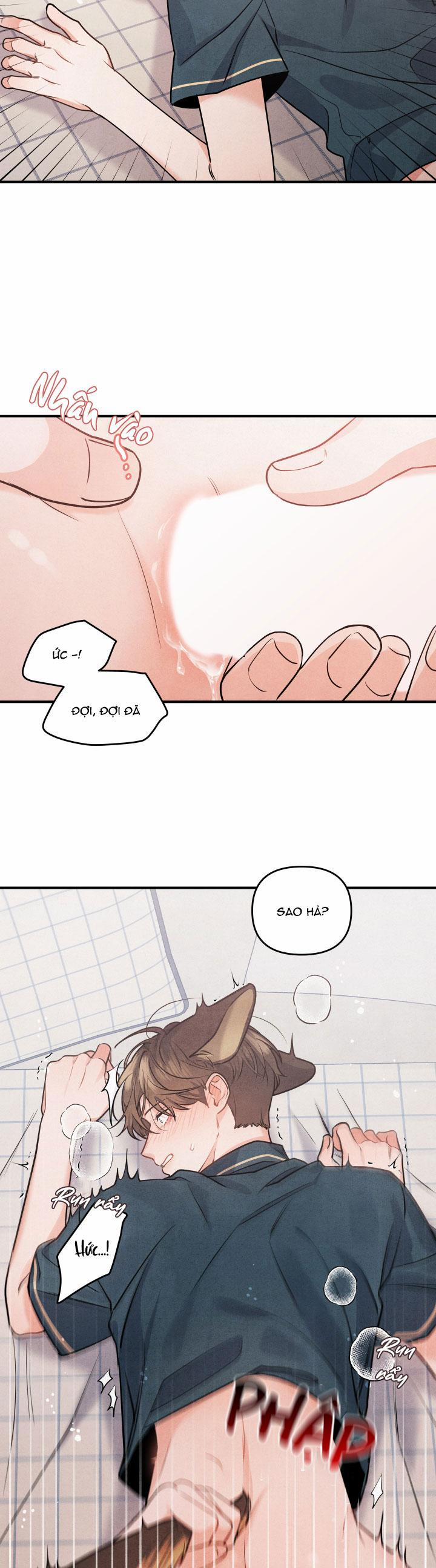 Mối Quan Hệ Giữa Chó Và Cún 1 trang 10