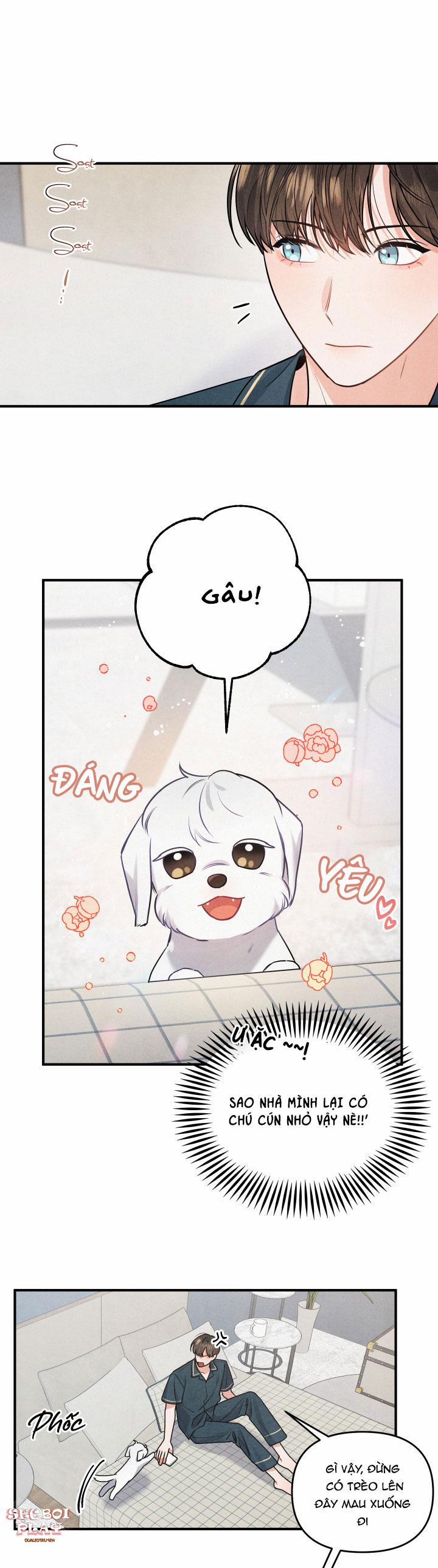 Mối Quan Hệ Giữa Chó Và Cún 1 trang 2