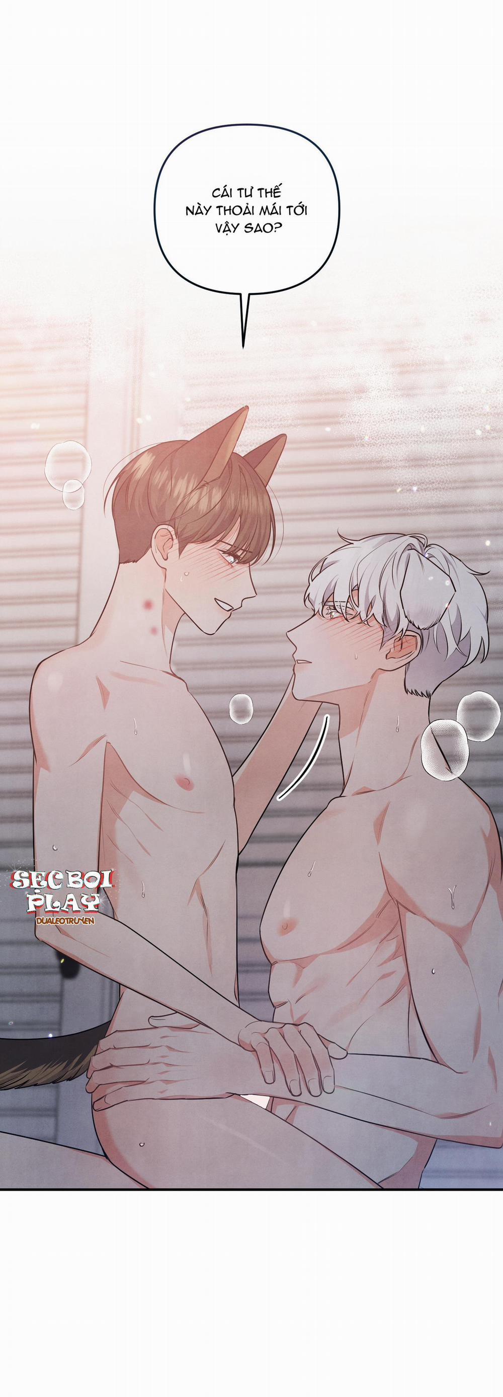 Mối Quan Hệ Giữa Chó Và Cún 16 trang 0