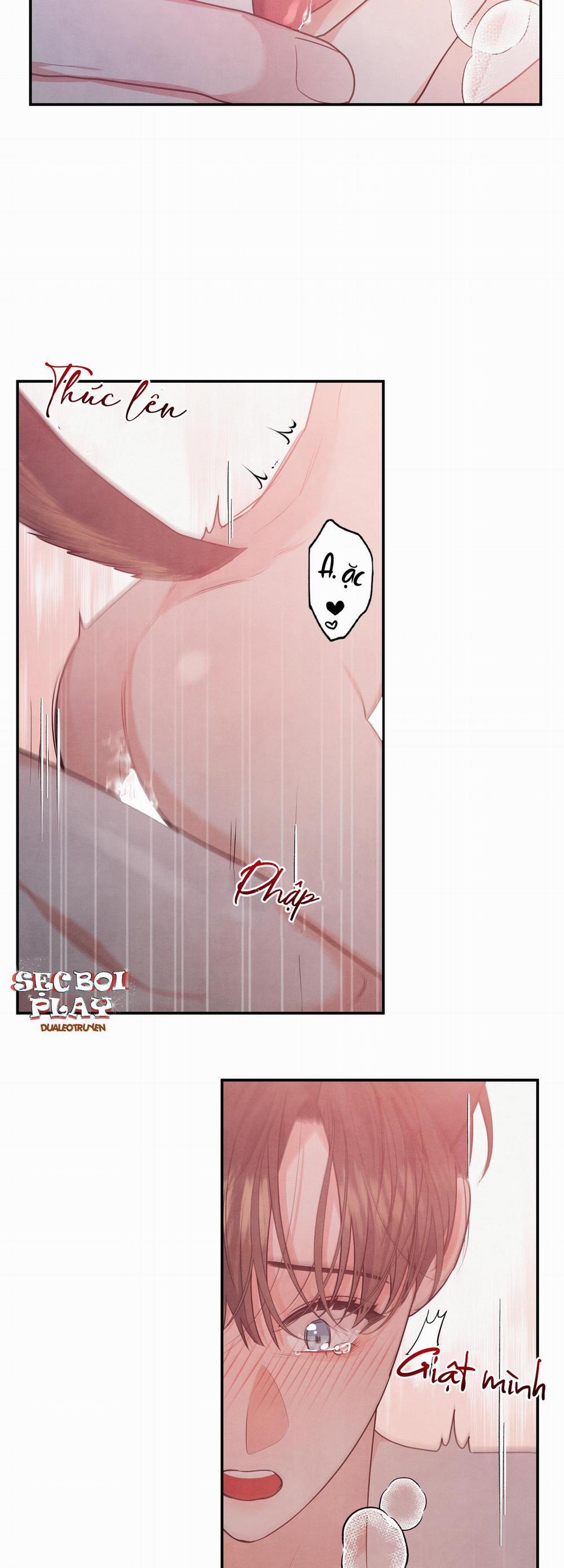 Mối Quan Hệ Giữa Chó Và Cún 16 trang 11