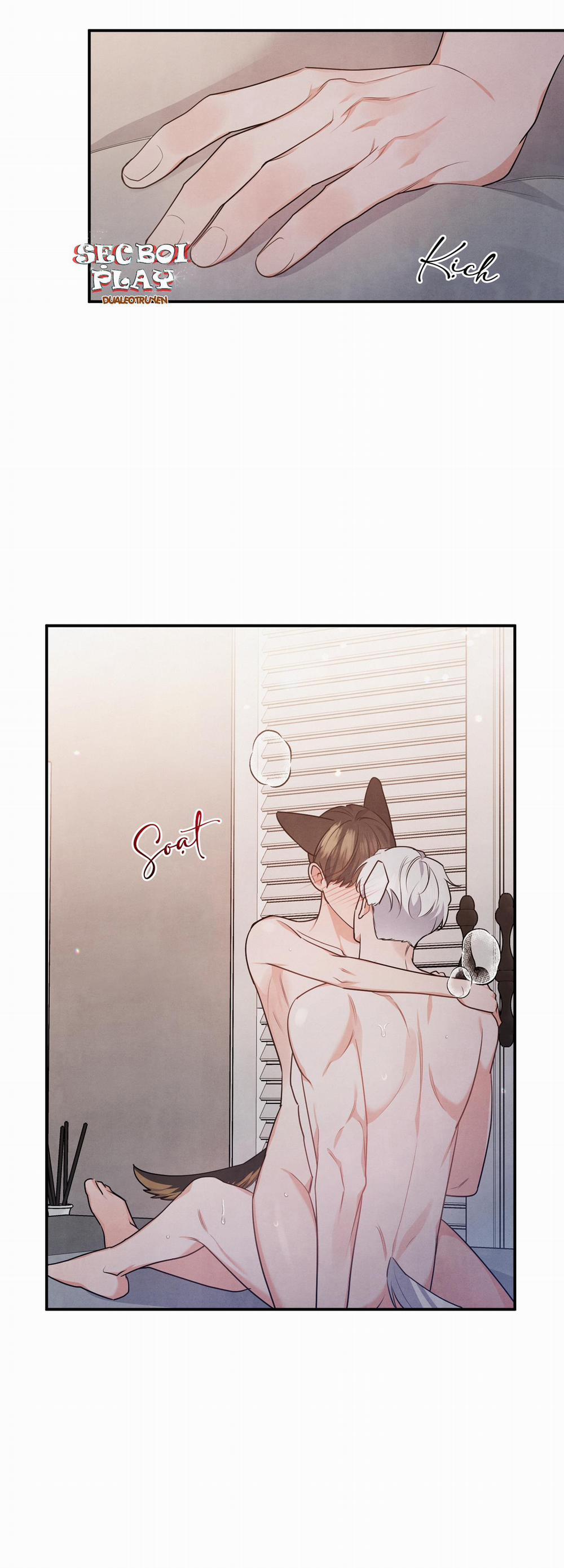 Mối Quan Hệ Giữa Chó Và Cún 16 trang 18