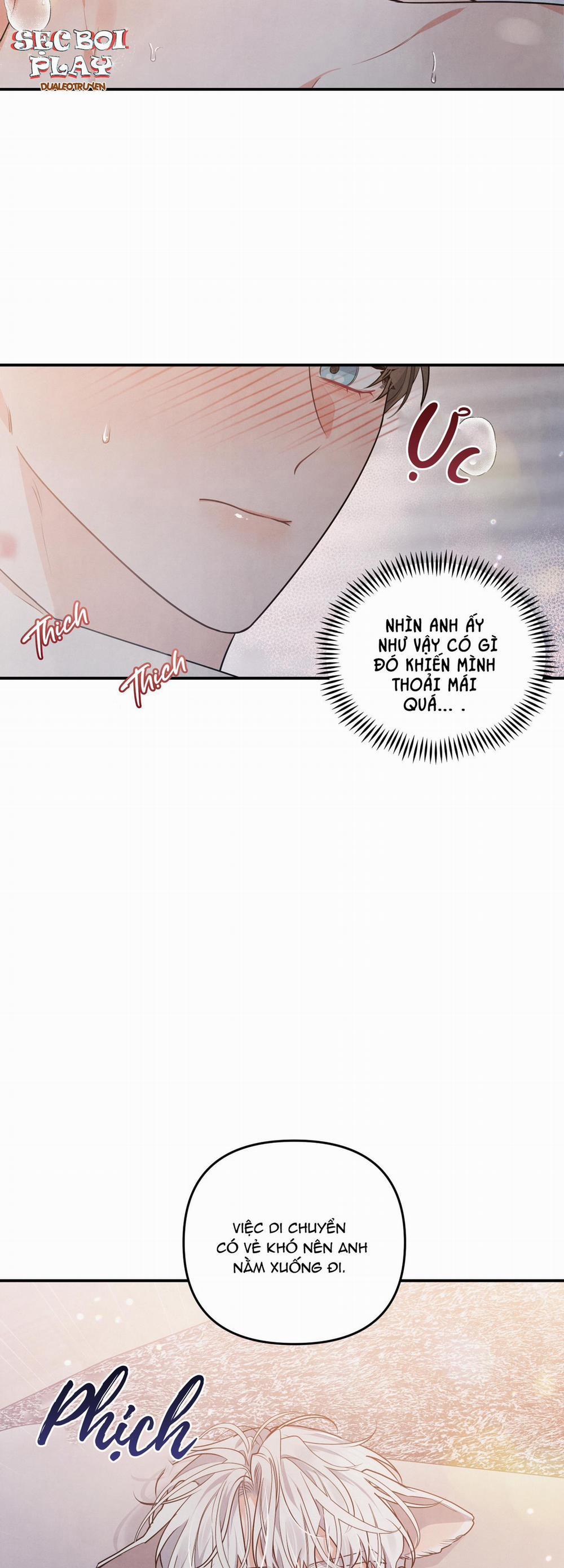 Mối Quan Hệ Giữa Chó Và Cún 16 trang 2