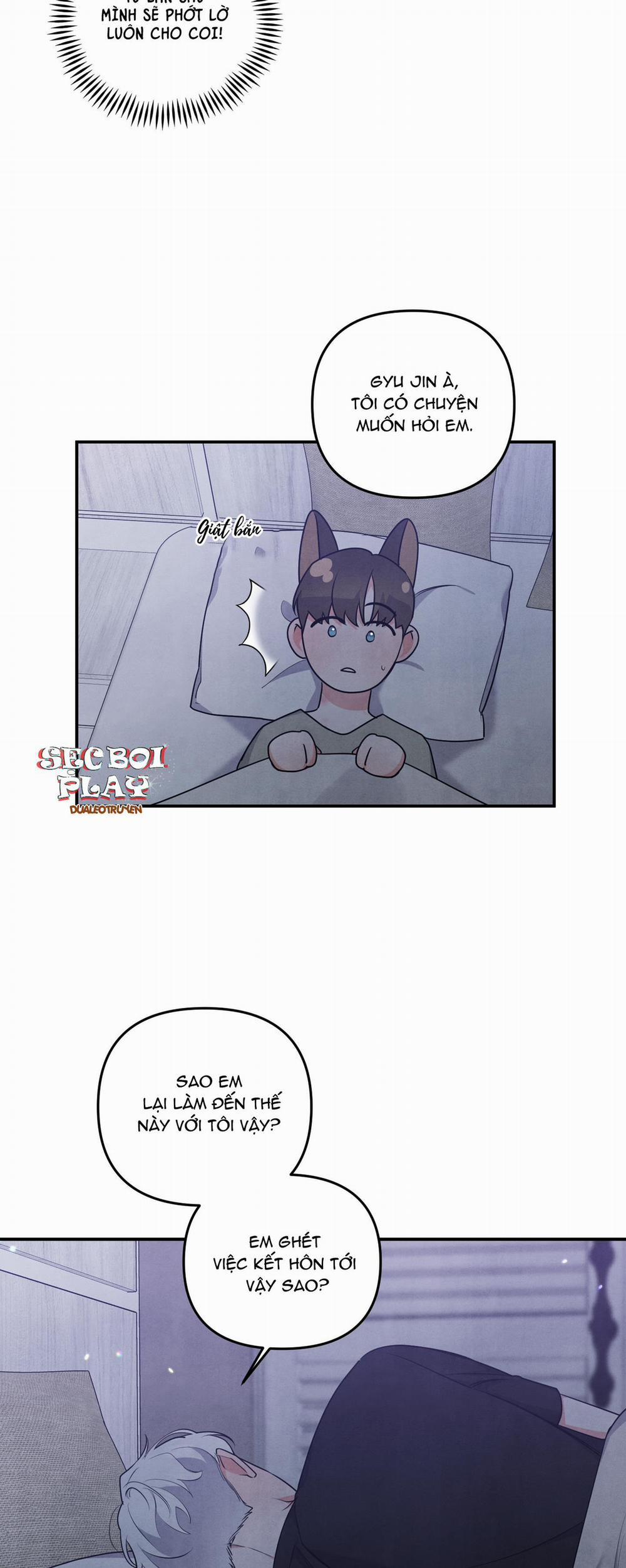 Mối Quan Hệ Giữa Chó Và Cún 16 trang 28