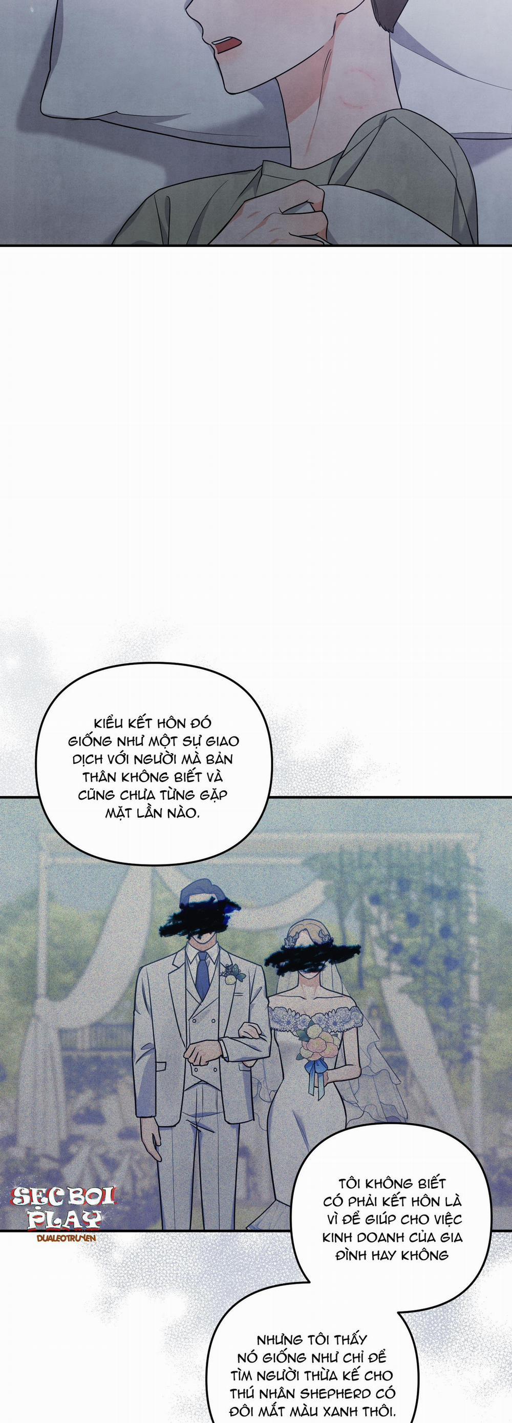 Mối Quan Hệ Giữa Chó Và Cún 16 trang 30