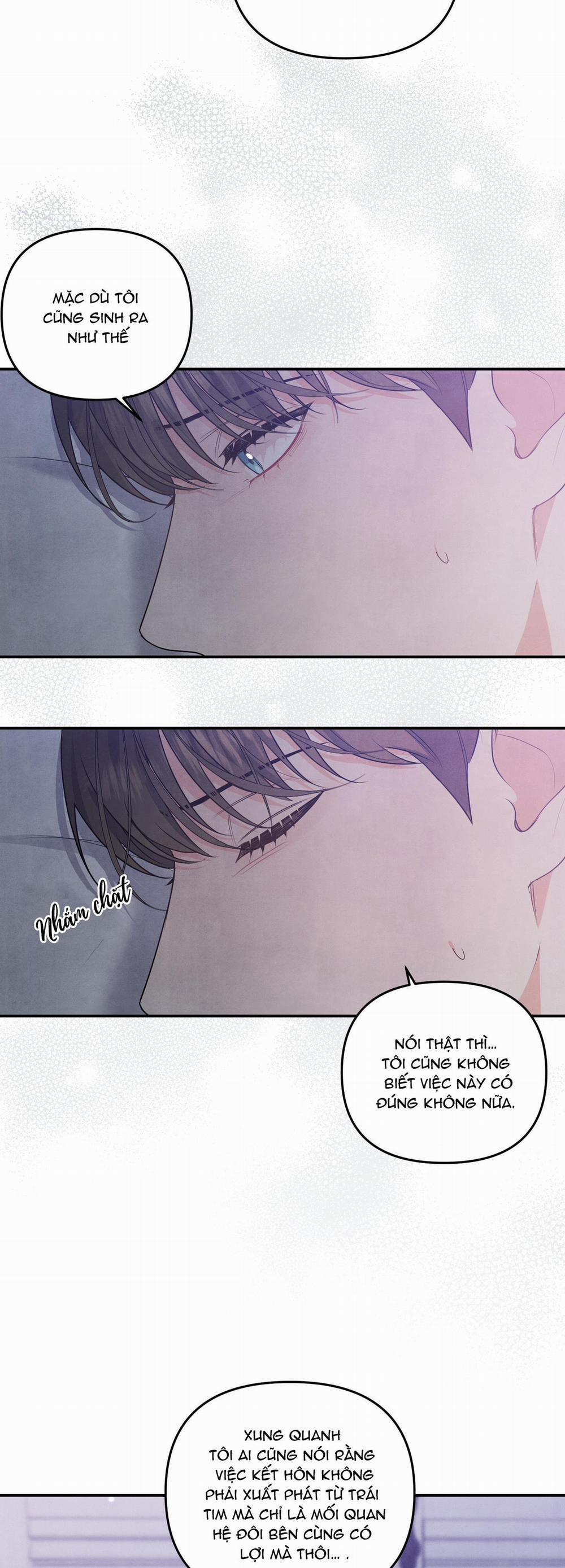 Mối Quan Hệ Giữa Chó Và Cún 16 trang 31