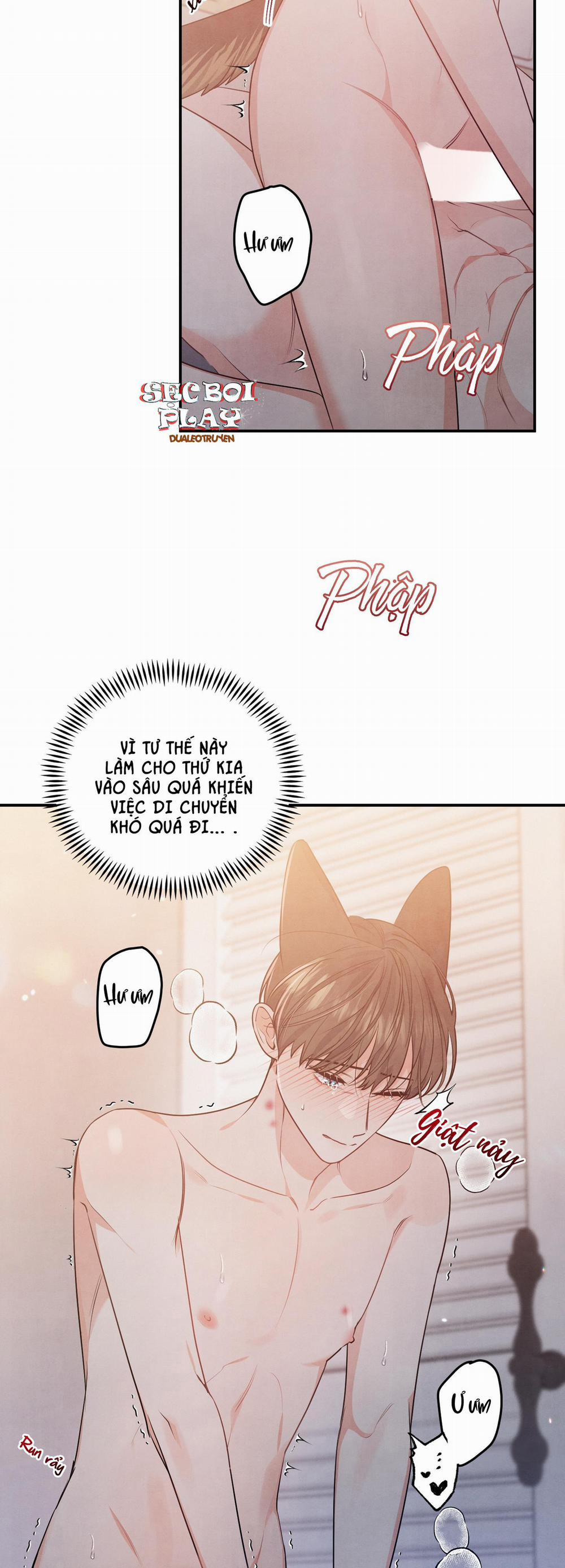 Mối Quan Hệ Giữa Chó Và Cún 16 trang 4