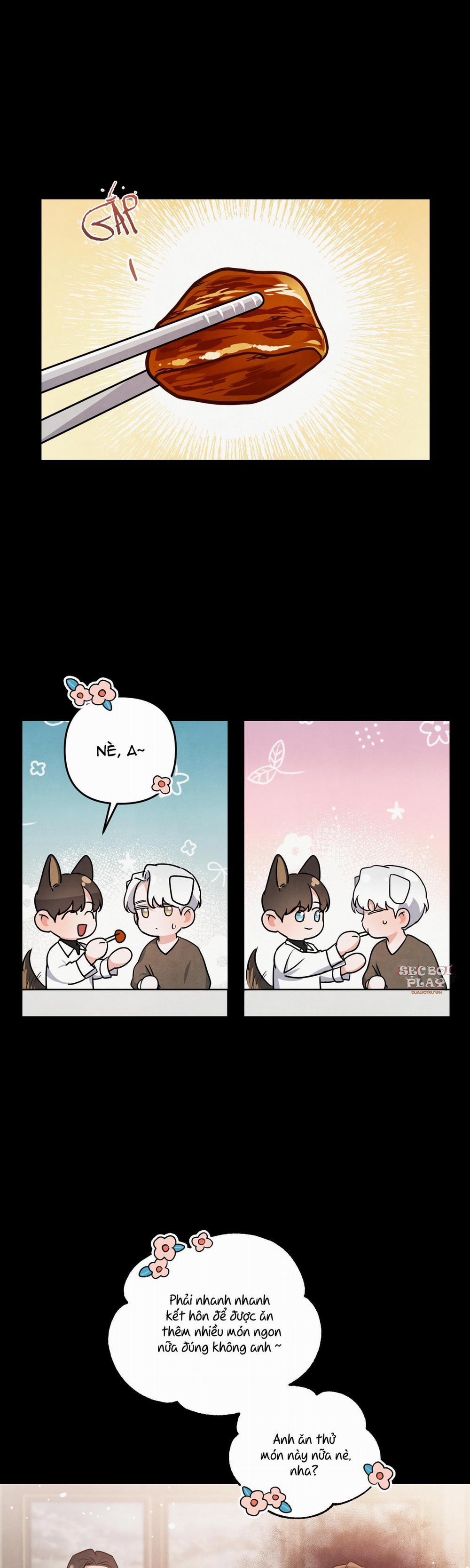 Mối Quan Hệ Giữa Chó Và Cún 17 trang 22