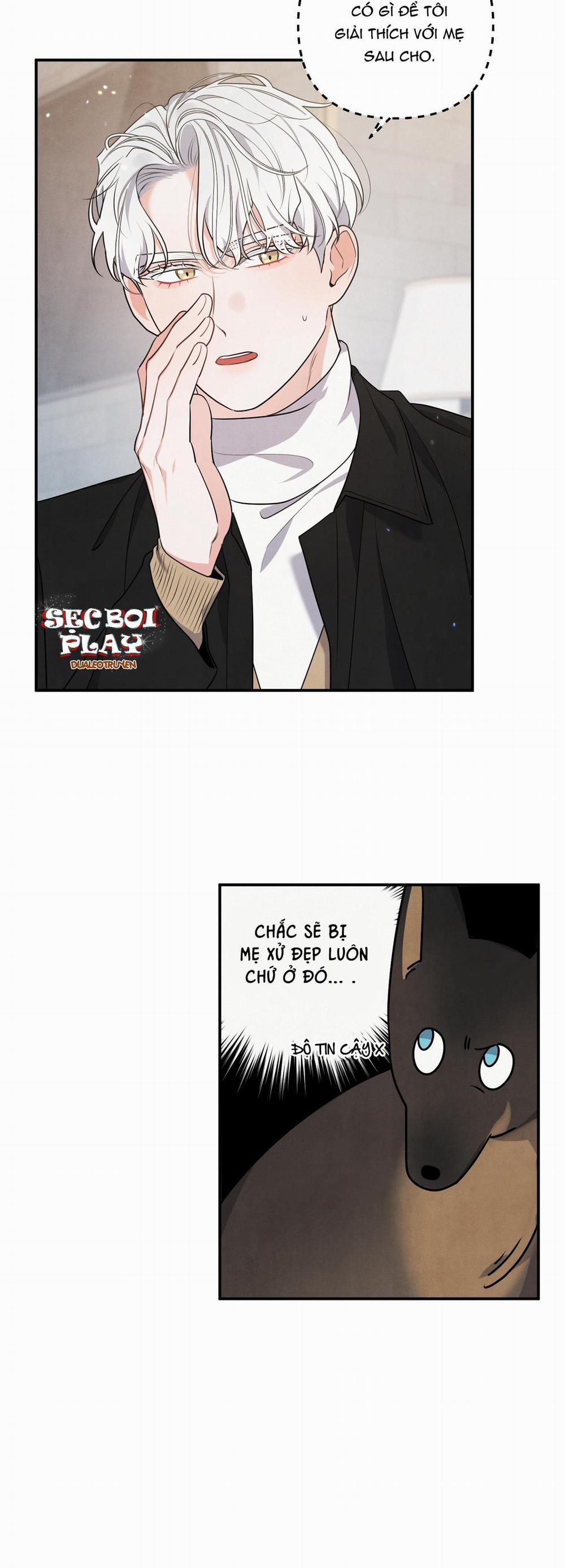 Mối Quan Hệ Giữa Chó Và Cún 17 trang 34