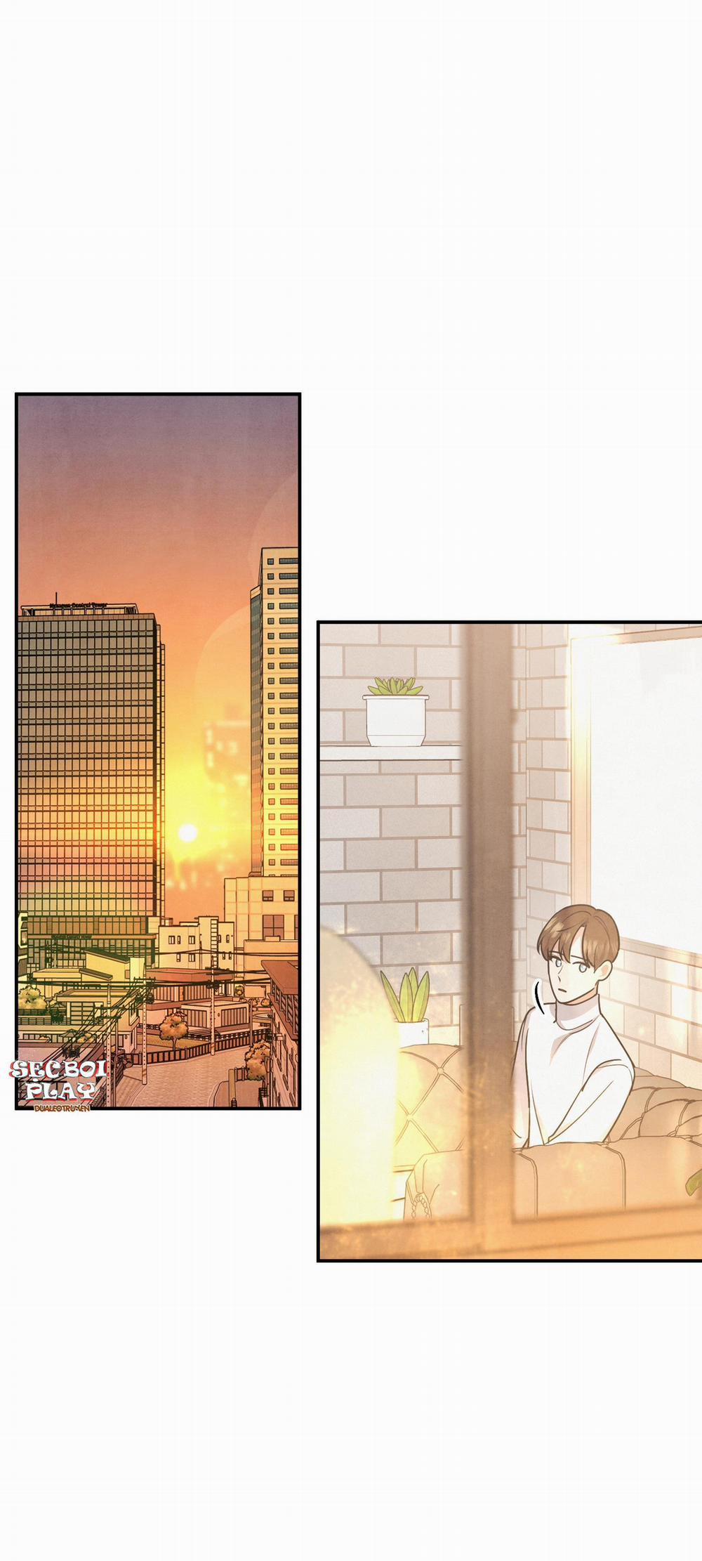 Mối Quan Hệ Giữa Chó Và Cún 19 trang 0