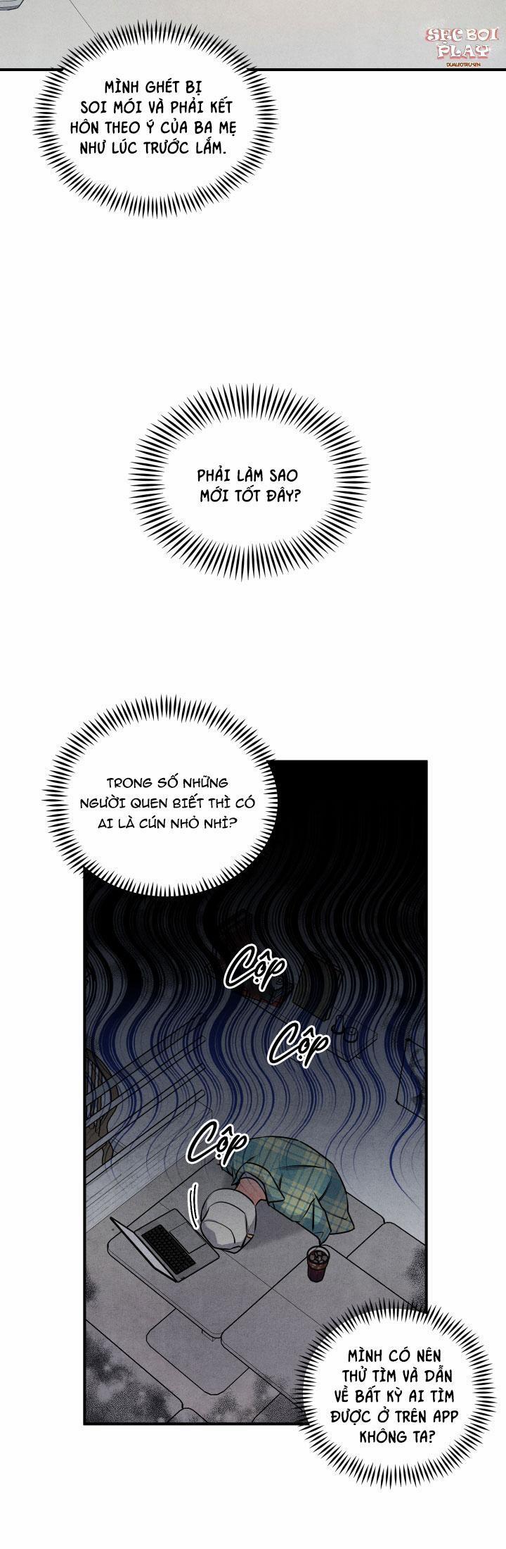 Mối Quan Hệ Giữa Chó Và Cún 2 trang 13