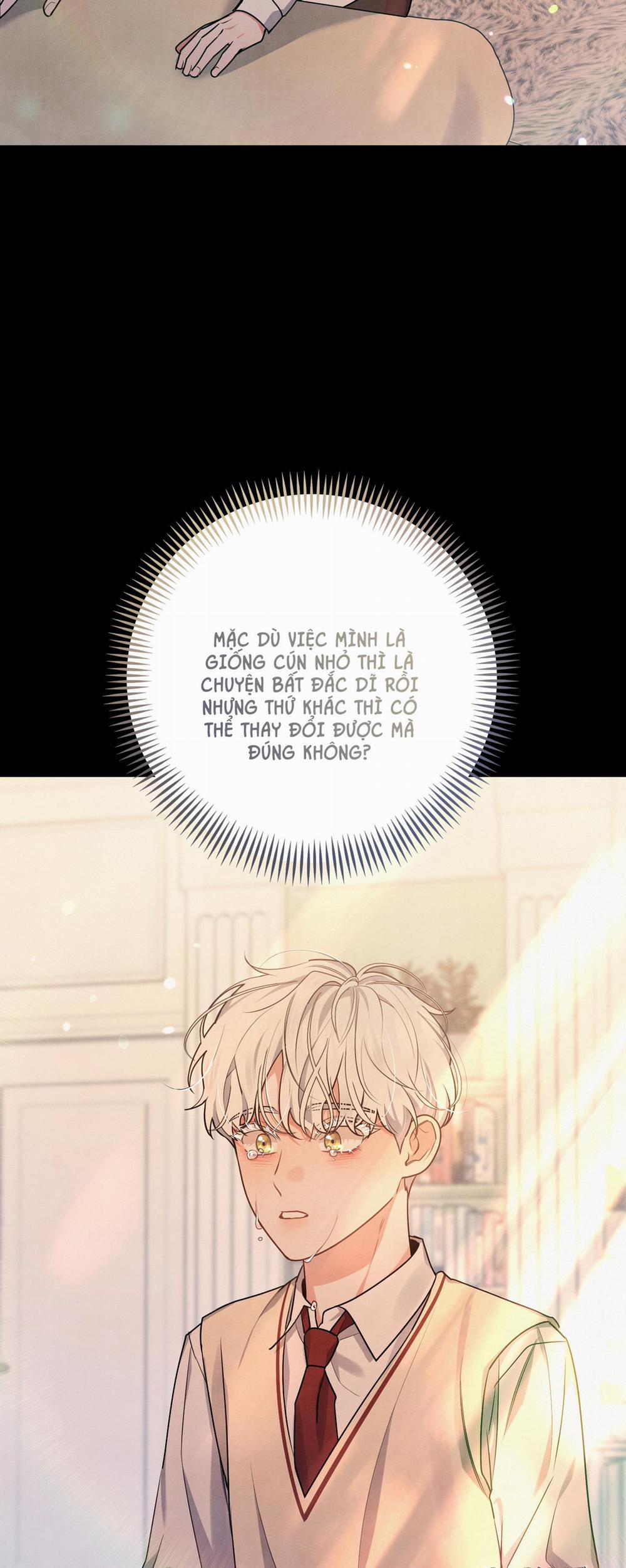 Mối Quan Hệ Giữa Chó Và Cún 21 trang 13