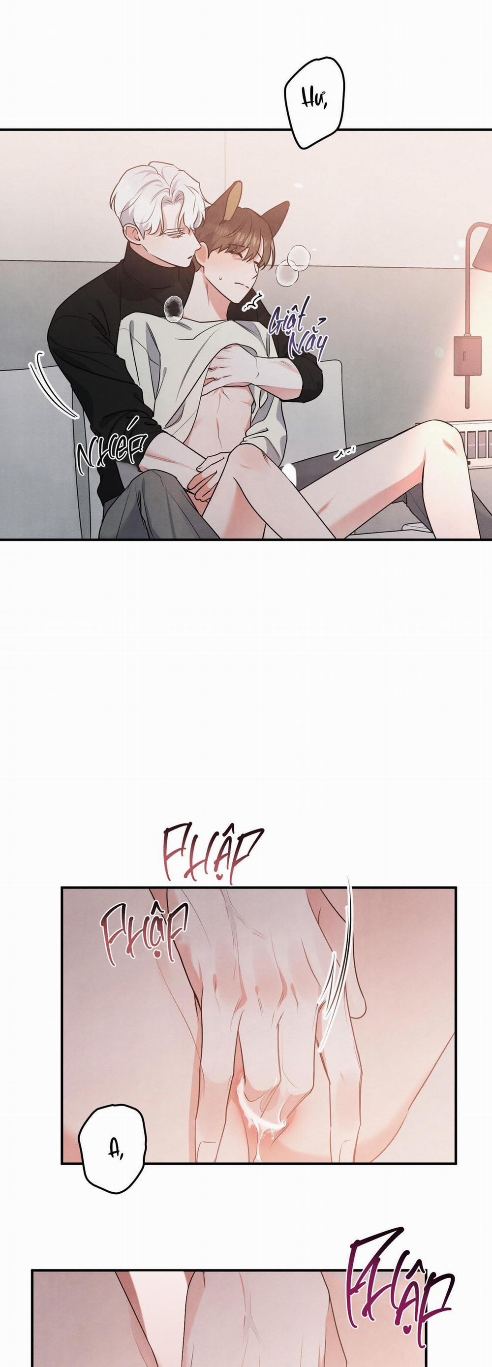 Mối Quan Hệ Giữa Chó Và Cún 28 trang 11