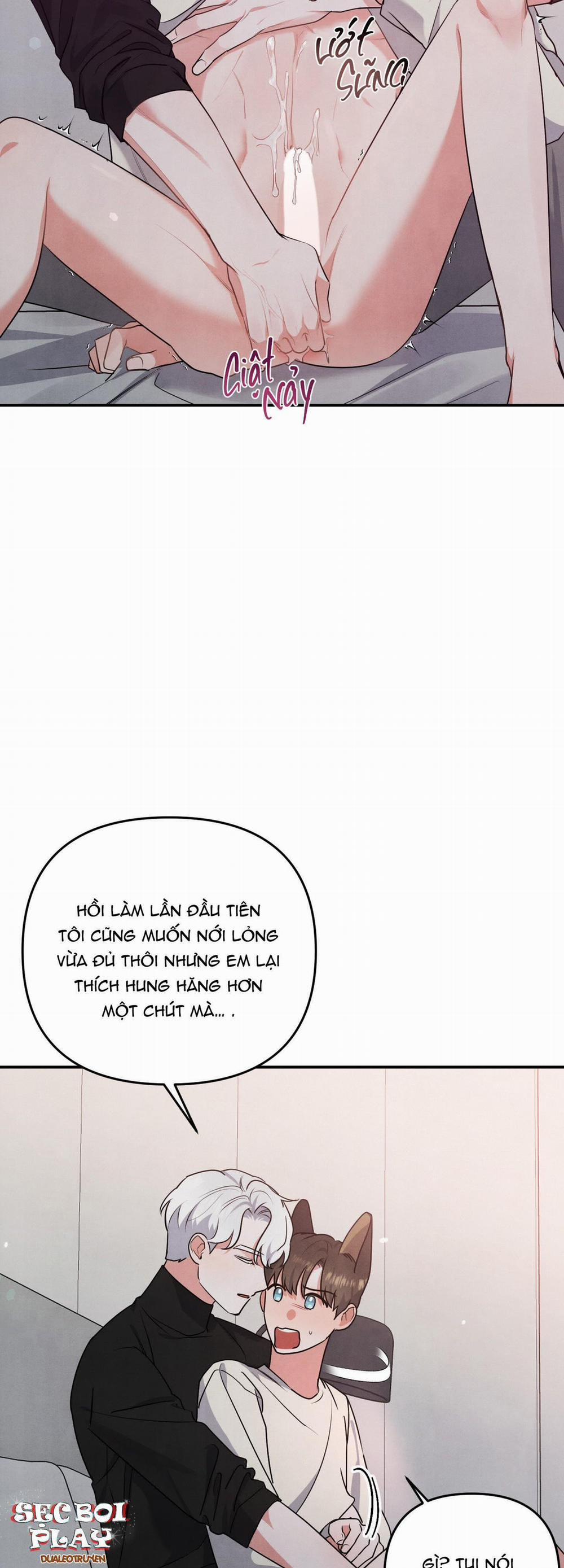 Mối Quan Hệ Giữa Chó Và Cún 28 trang 16