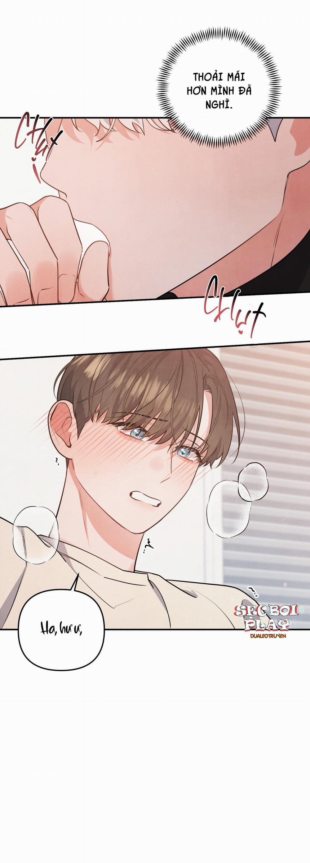 Mối Quan Hệ Giữa Chó Và Cún 28 trang 2