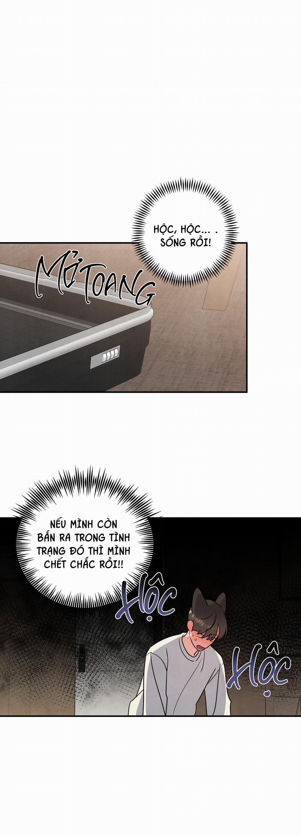 Mối Quan Hệ Giữa Chó Và Cún 28 trang 22