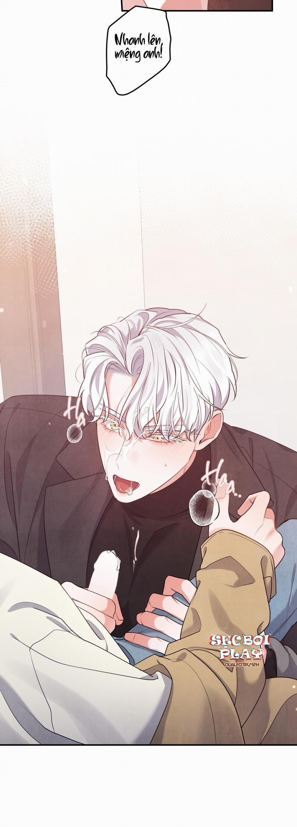 Mối Quan Hệ Giữa Chó Và Cún 28 trang 5