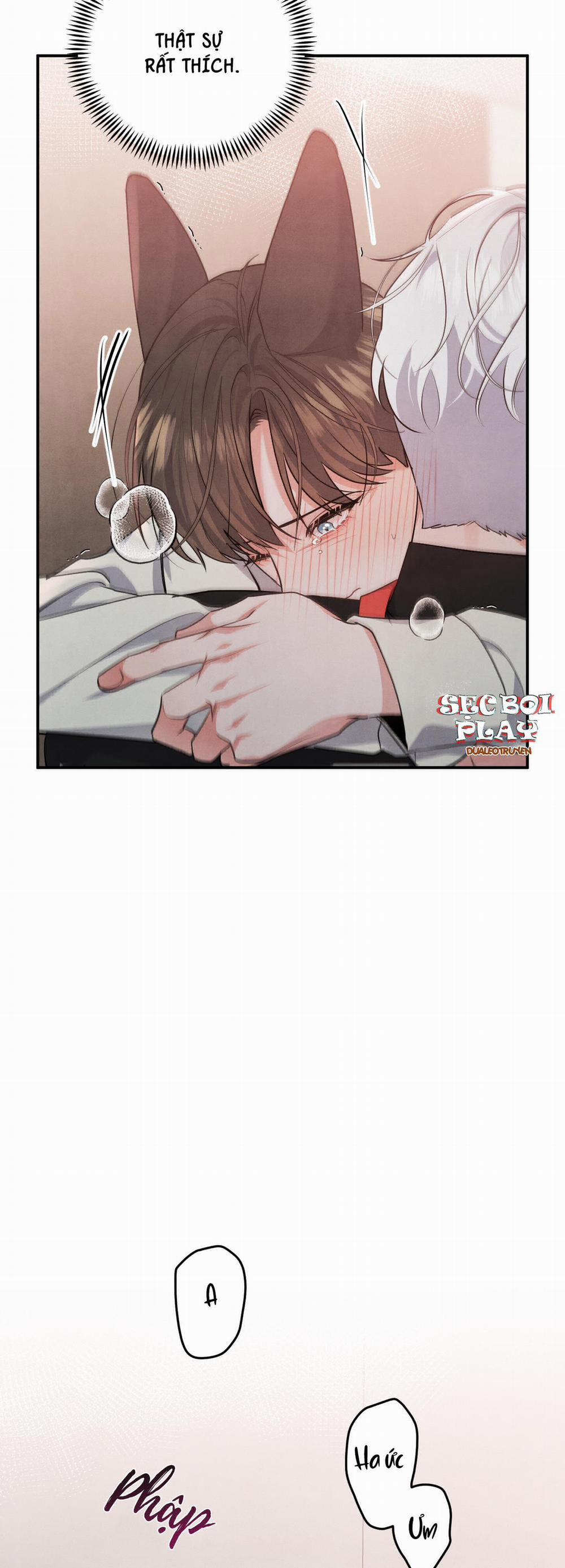 Mối Quan Hệ Giữa Chó Và Cún 29 trang 23