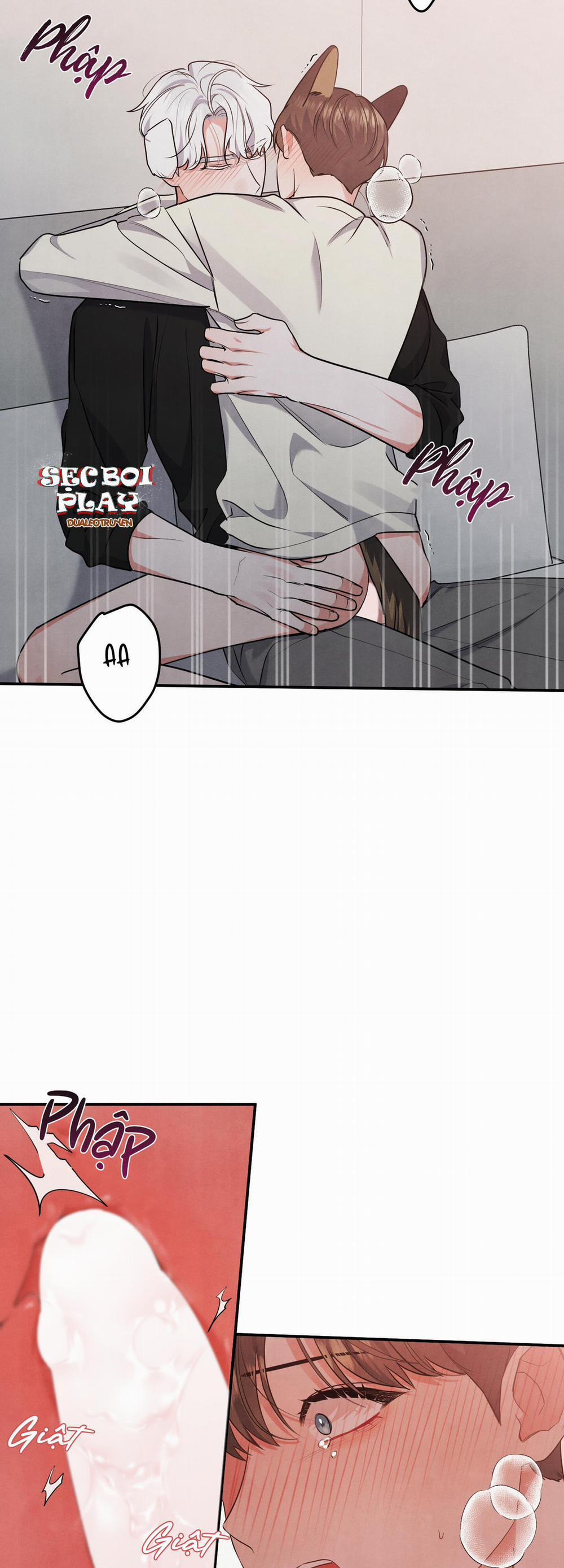 Mối Quan Hệ Giữa Chó Và Cún 29 trang 24