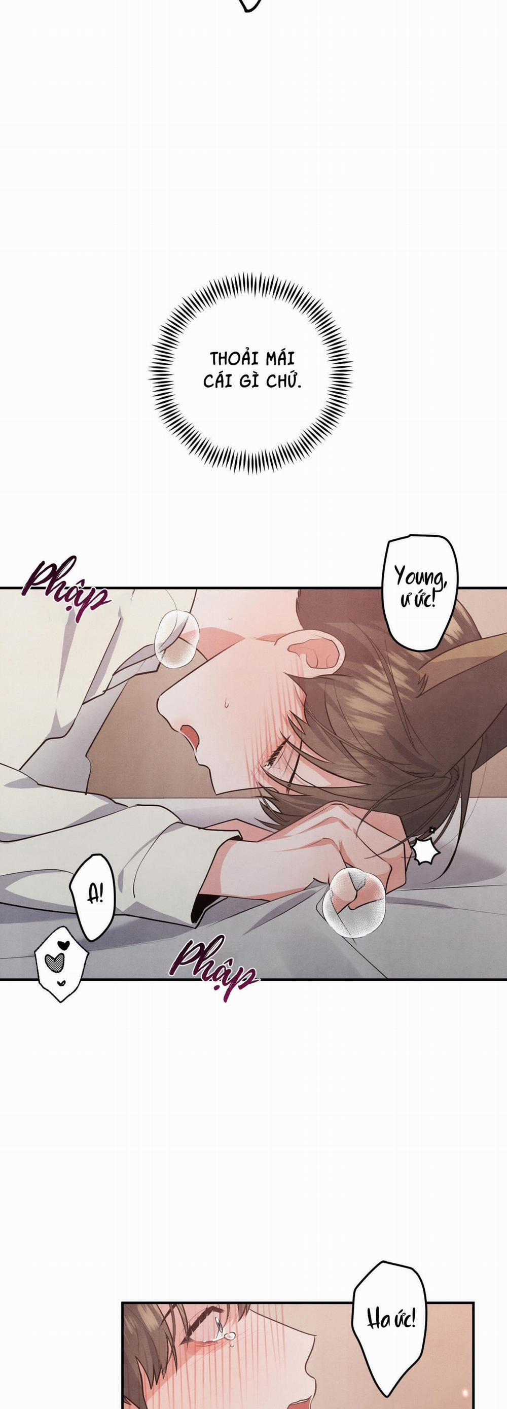 Mối Quan Hệ Giữa Chó Và Cún 29 trang 38