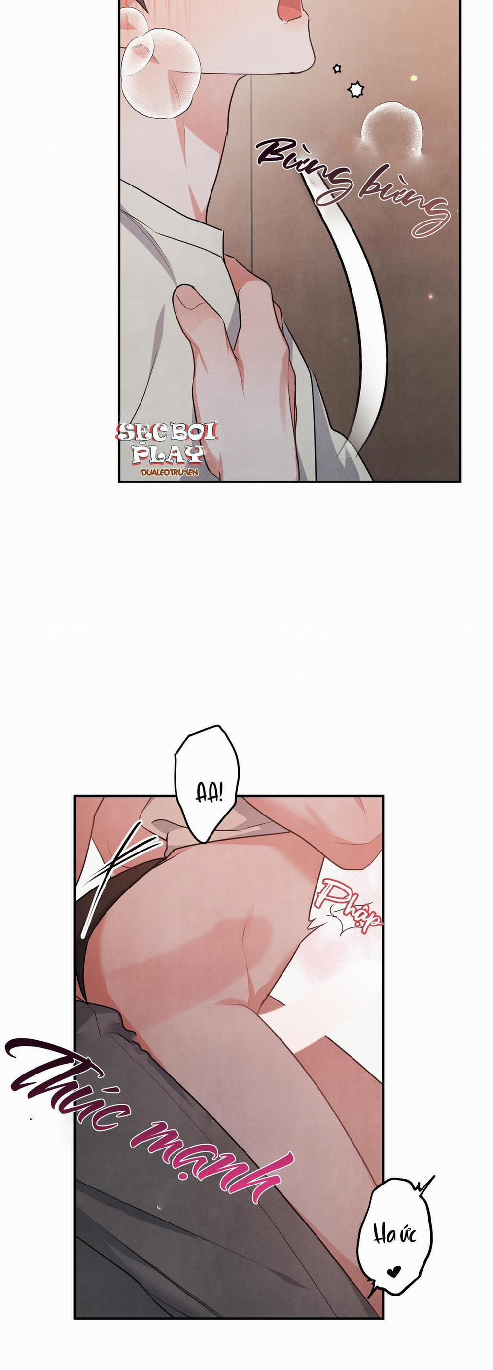 Mối Quan Hệ Giữa Chó Và Cún 29 trang 39